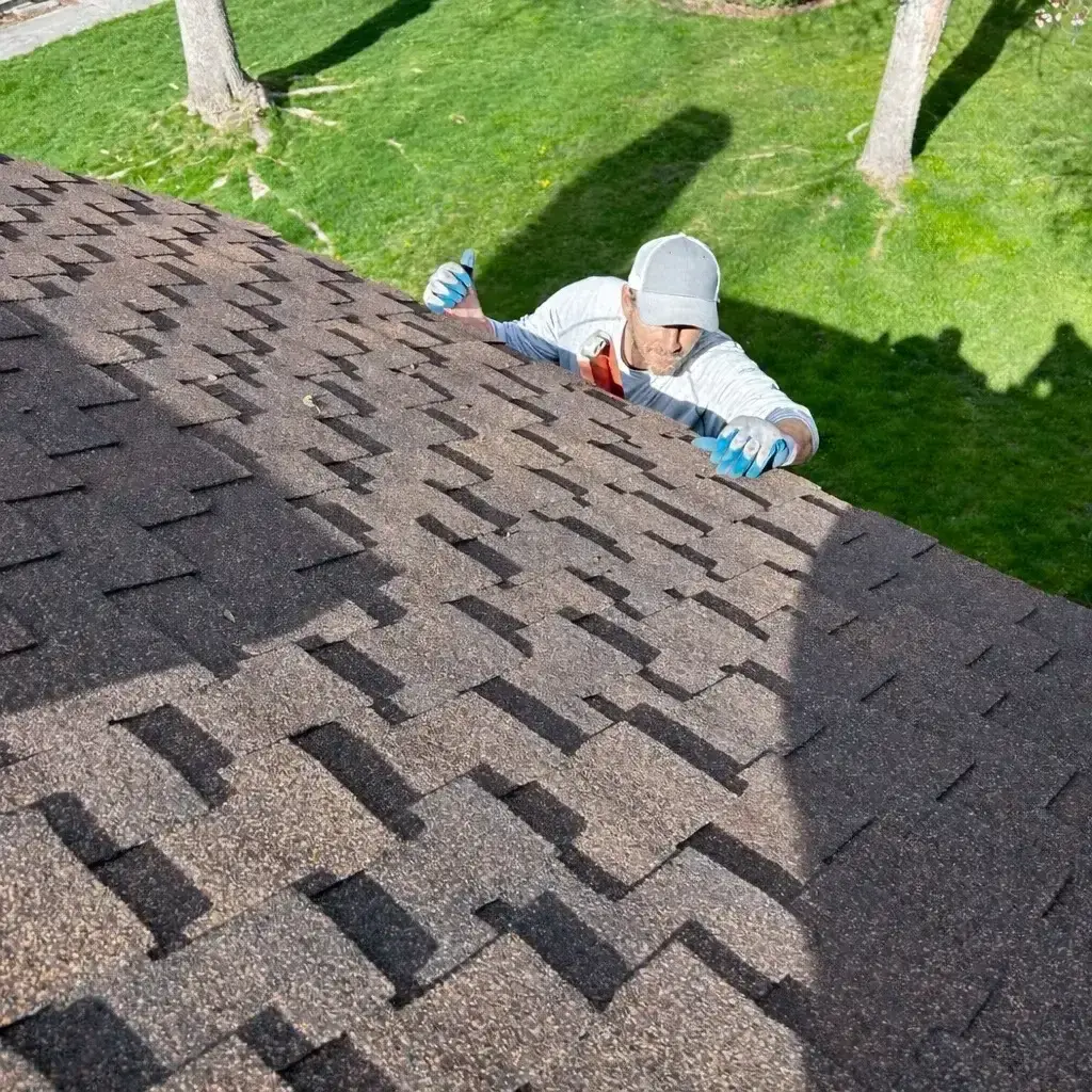 Roof Inspection